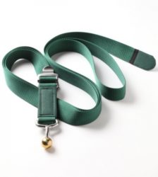 Wall Belts